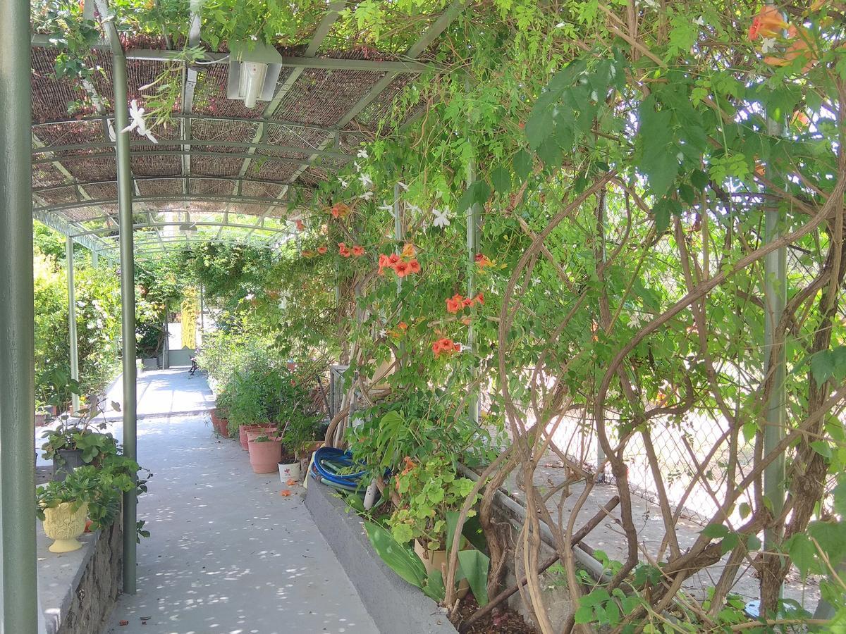 Finikas Rooms Agia Marina  Exterior photo